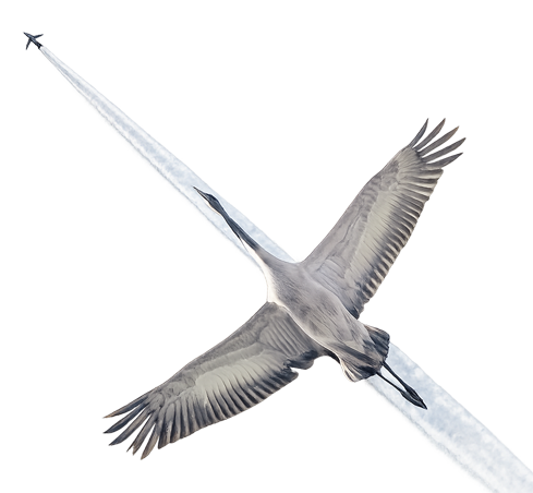 Our Numbers Come From Our Database, Not Our Imagination